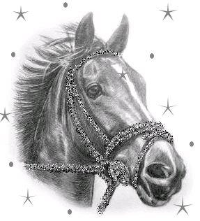 This is so cool!!! I l.. Animals - 